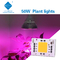 Chip de luz LED de espectro completo AC 50w LED COB Chip 200v 240v 4046 AC LED Chip para la luz de cultivo