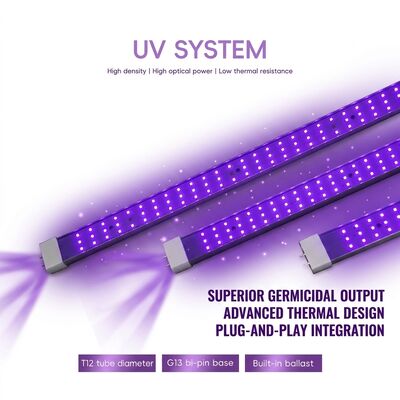 Soluciones UVC 365nm 370W 100W 120W lámparas germicidas UV proveedores de luz UVC lejano lámpara excimer