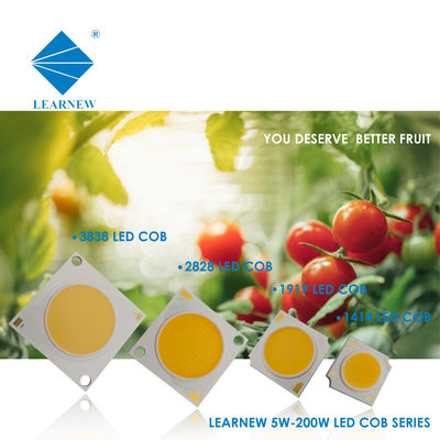 COB LED para lámpara de pared y foco