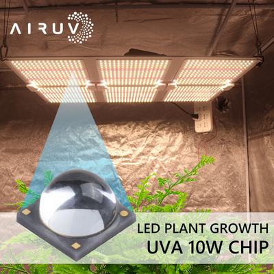 10W 365nm 385nm 395nm 6-7V Uva 3W llevó el curado ULTRAVIOLETA de Chips For