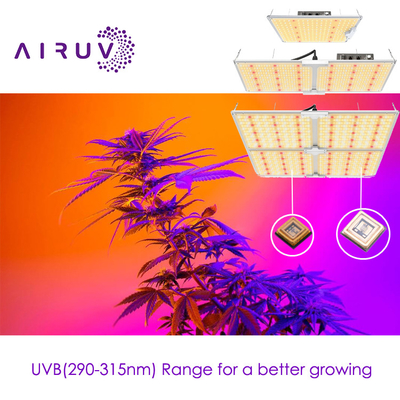 10w 20w 100w UVA UVB UVCLED COB Alta eficiencia 365nm 385nm 395nm Led rentable