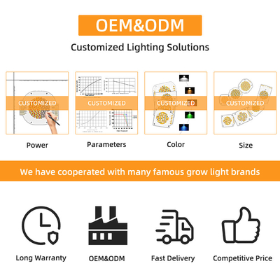 Bicolor LED COB de doble color COB de gran alcance de color DC 205V 300w + 300w LED COB Chip