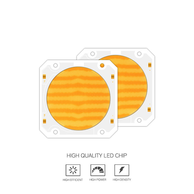 OEM ODM longitud de onda BI Color 205V SMD LED chip Blanco caliente + blanco 6060 SMD LED chips Emitiendo