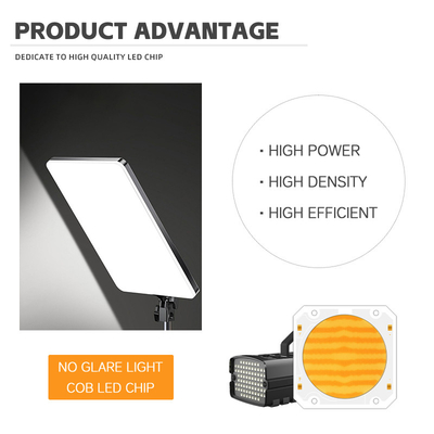 OEM ODM longitud de onda BI Color 205V SMD LED chip Blanco caliente + blanco 6060 SMD LED chips Emitiendo