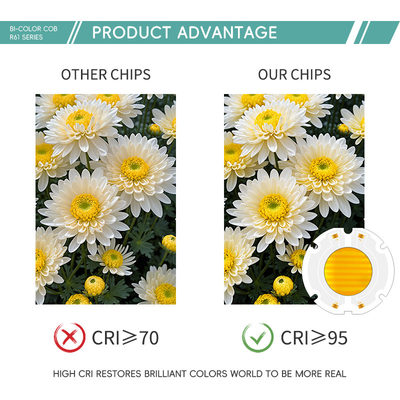 200W Chip 6060 LED COB Chip para fotografía luz VF42-46V 51-53V LM/W 95