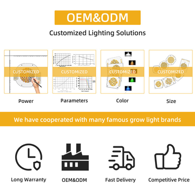 LED COB Chip 200W VF 45V LED Beads DIY Espectro completo Personalizable