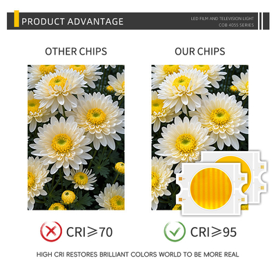 Potencia LED personalizada 300W Bicolor Caliente + Blanco Frío 4055 Bicolor Dos CCT CRI95 COB Chip LED
