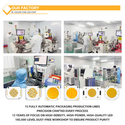 Chip COB de material de aluminio personalizado 2424 en blanco, azul, rojo y verde, alto brillo, fábrica de China