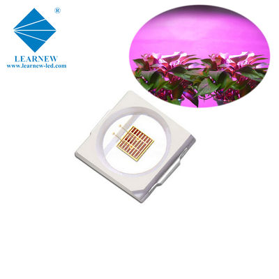 Chip LED de crecimiento azul 1W SMD 3030 440-470nm 300mA 3.0-3.4V