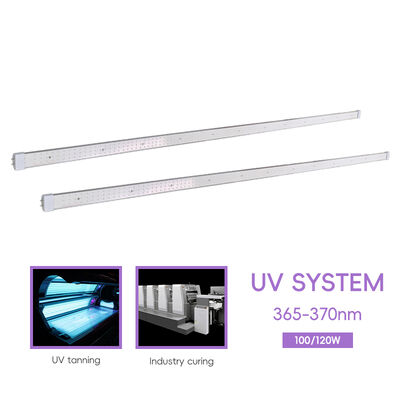 Lámpara de bronceado Bi Pin de 120W 100W Fábrica OEM/ODM Logo 70in 60in Tubo de 365nm para la piel