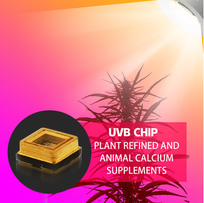 Diodo LED UVB 3W Chip 315nm Precio de Fábrica 3535 LED Diode SMD 311nm 500mA Lámpara de Bronceado LED Diode SMD 306nm 295nm 110mW