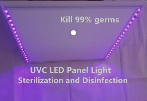 1W 225nm UVC Pick up 233.8nm Led Optical Power 2-3mW 6-8V 150mA SMD 3.8mm UV-C LEDs Diode 60° Dome Lens