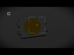 4055-300W Bi Color Chips LED