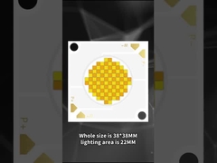 3838 LED COB de doble color