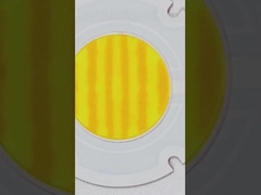 R60mm Serie COB bicolor